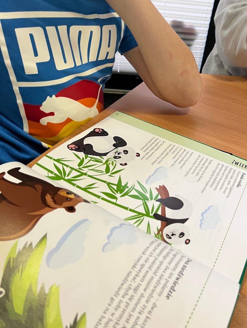 11_warsztaty12 (Tydzień 11)