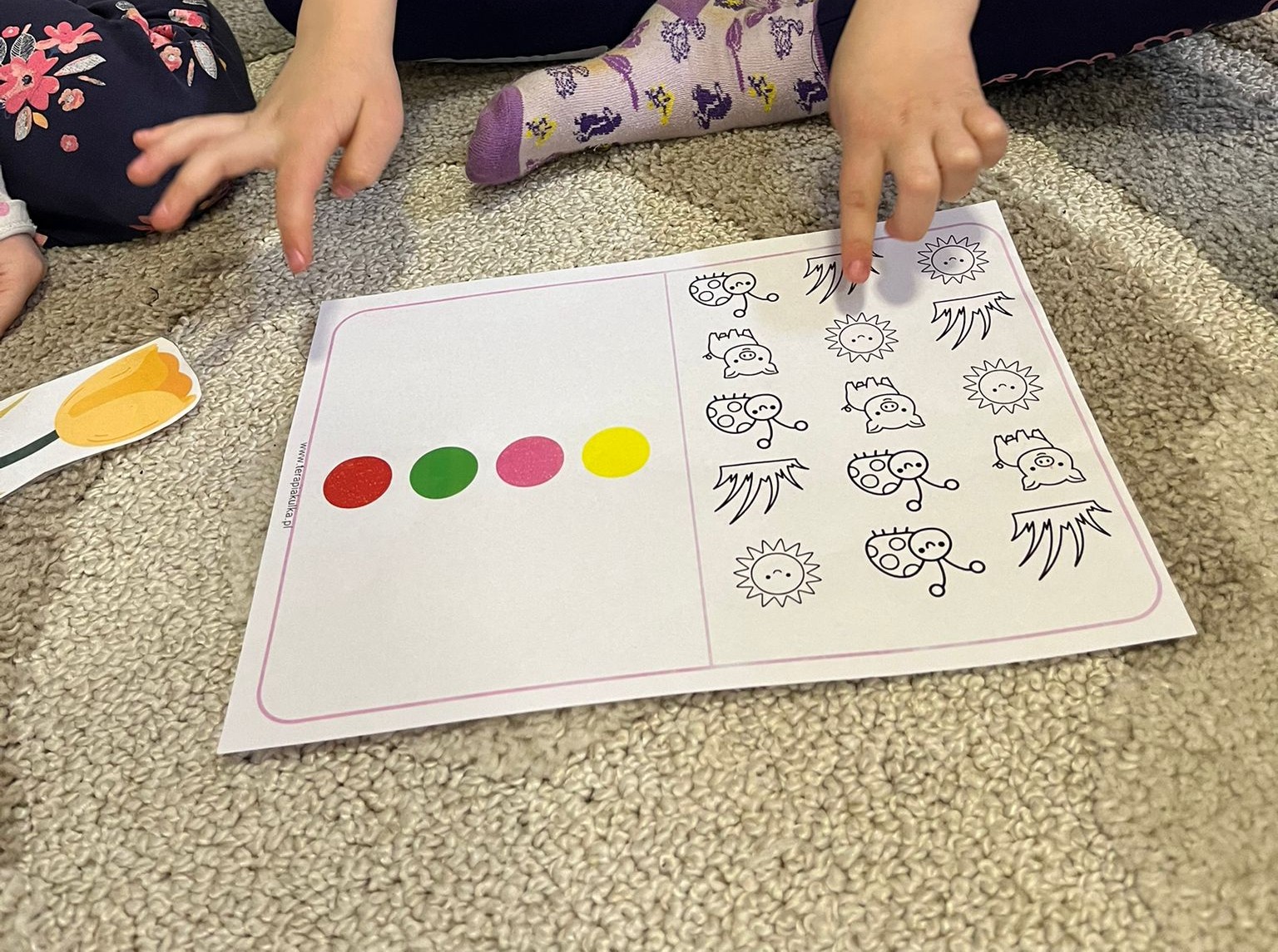 12_warsztaty05 (Tydzień 12)