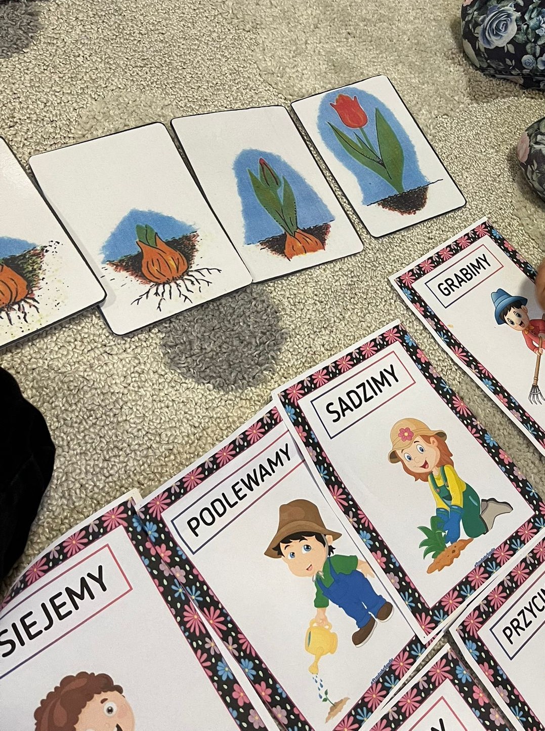 12_warsztaty11 (Tydzień 12)